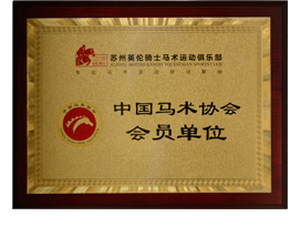 中国马术协会